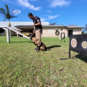 Soldado Castro e o cão Taz