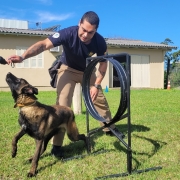 Soldado Castro e o cão Taz