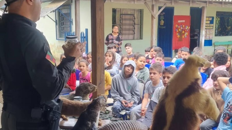 Atividade de conscientização ambiental em escolas