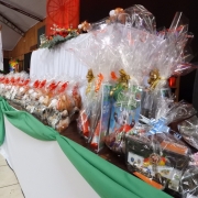 Formatura Proerd 3