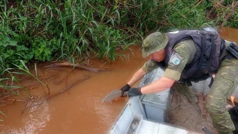 Peixes que estavam presos ao petrecho foram reinseridos no habitat natural