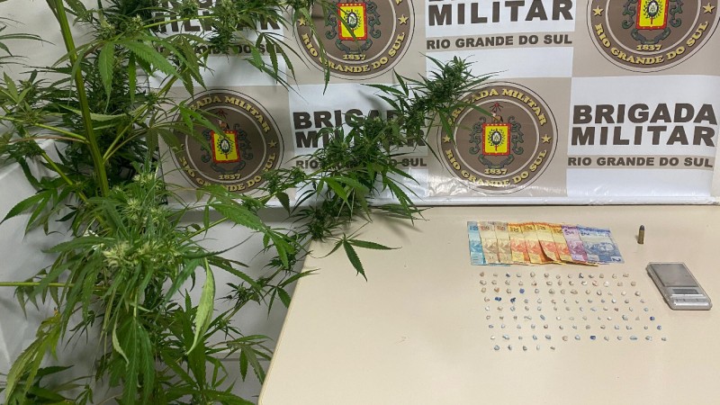Dois homens são presos pela BM por tráfico de drogas! Na residência havia um pé de maconha medindo 2,20m!