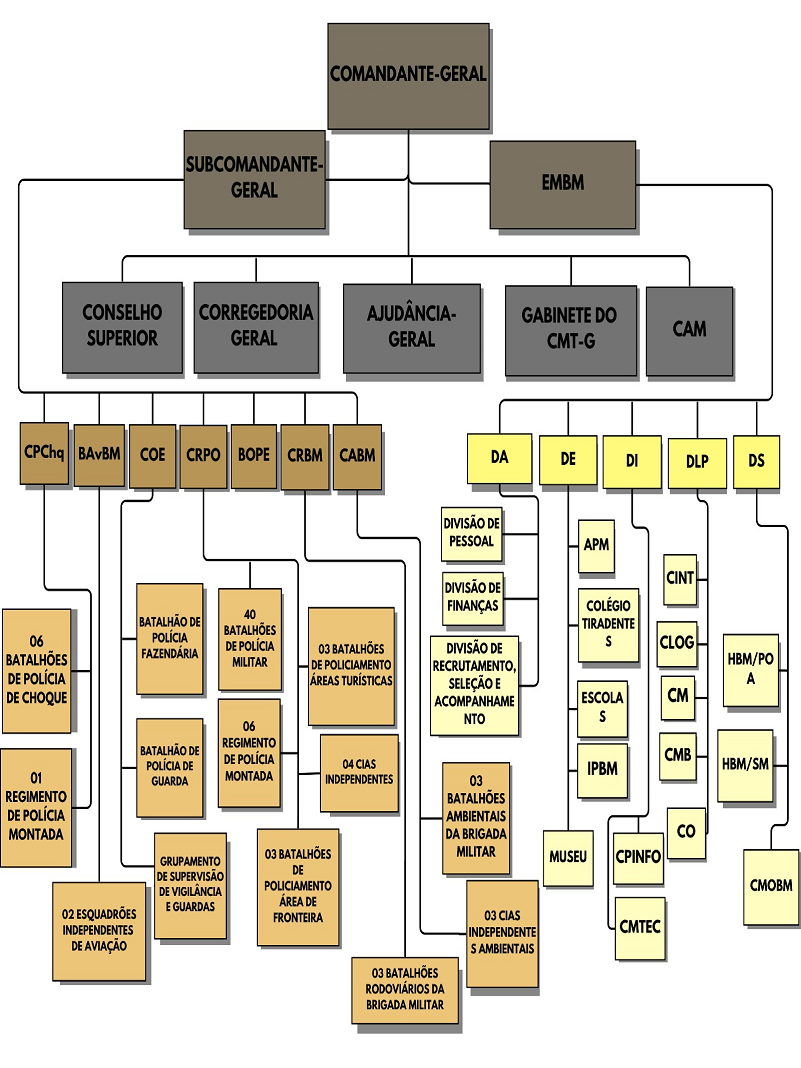 ESTRUTURA ORGANIZACIONAL