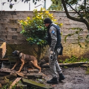 Na imagem há um policial do Canil do CRPO Litoral utilizando um cão farejador para tentar localizar ilícitos