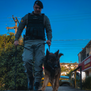 Policial militar e o cão 