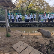 Conhecendo a fauna 1