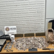 droga apreendida na Operação Cerco Fechado