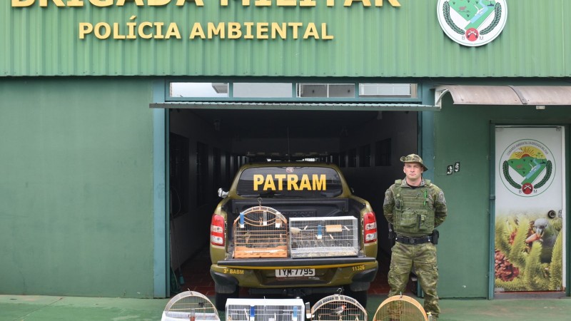 Pássaros silvestres são resgatados em Erechim