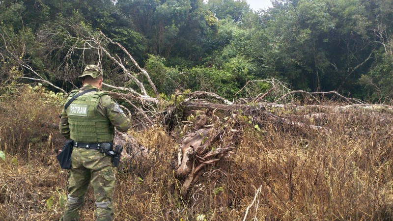 Supressão de vegetação nativa em Ciríaco