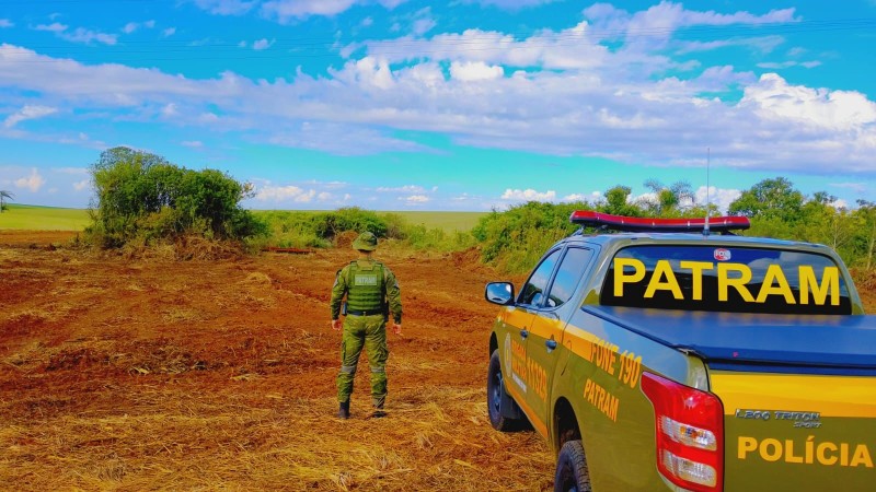 Crime contra a flora em Ibirubá e Cruz Alta