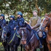 Imagem mostra policiais militares da cavalaria com os animais