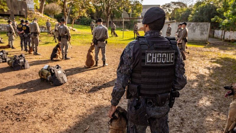 Policiais militares aprendem a trabalhar lado a lado com c&atilde;es treinados para miss&otilde;es