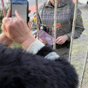 Policial Militar feminina está em frente a um portão e aparece do lado de dentro deste, uma mulher digitando no celular 